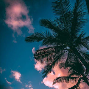 Meet your Posher, Azariah